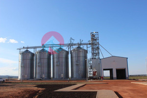 Angola steel structure corn farm plant