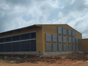 Steel poultry farming shed for 50000 Layer chickens