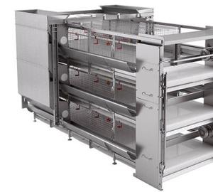 H Type Layer Chicken Cages Automatically