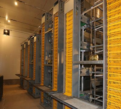 Egg Collecting System