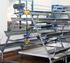 Automatic A-Type Layer Cages